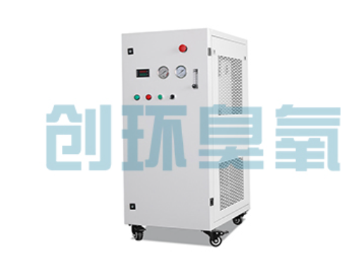 阜平石斑鱼养殖水质调控完整指南：臭氧发生器配置与操作步骤