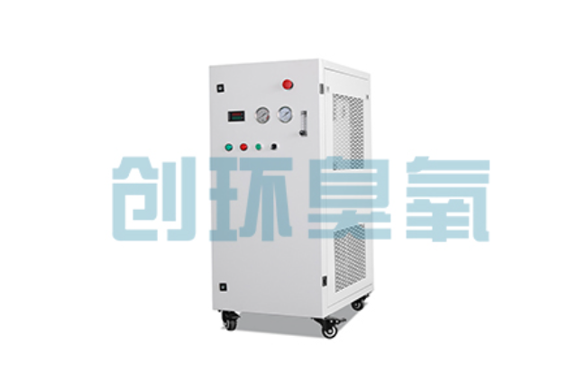 阜平比传统换水更高效？臭氧发生器在石斑鱼养殖中的水质净化原理解析